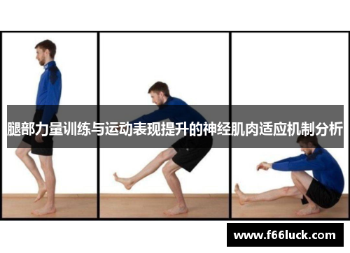 腿部力量训练与运动表现提升的神经肌肉适应机制分析